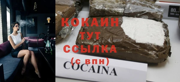 прущие грибы Новозыбков