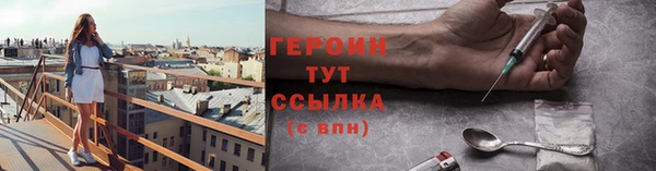 прущие грибы Новозыбков
